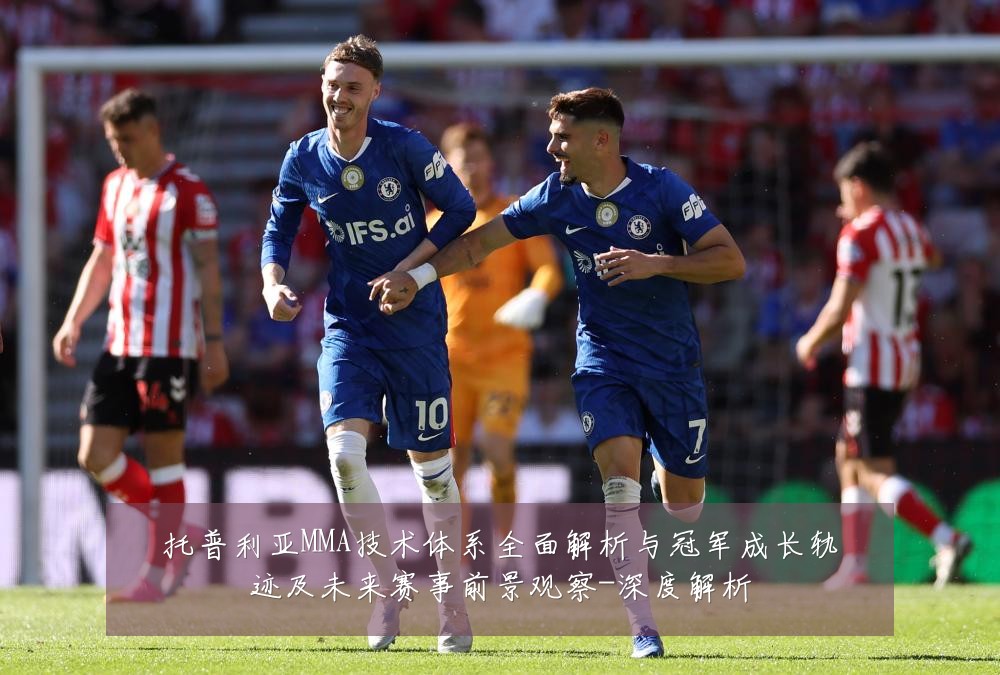 托普利亚MMA技术体系全面解析与冠军成长轨迹及未来赛事前景观察-深度解析