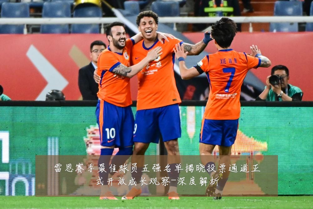 雷恩赛季最佳球员五强名单揭晓投票通道正式开放成长观察-深度解析
